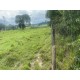 Sitio a venda sp Ribeirao Preto Cassia dos Coqueiros 11 ALQ