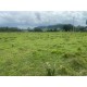 Sitio a venda sp Ribeirao Preto Cassia dos Coqueiros 11 ALQ