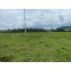 Sitio a venda sp Ribeirao Preto Cassia dos Coqueiros 11 ALQ