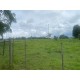 Sitio a venda sp Ribeirao Preto Cassia dos Coqueiros 11 ALQ