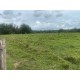 Sitio a venda sp Ribeirao Preto Cassia dos Coqueiros 11 ALQ