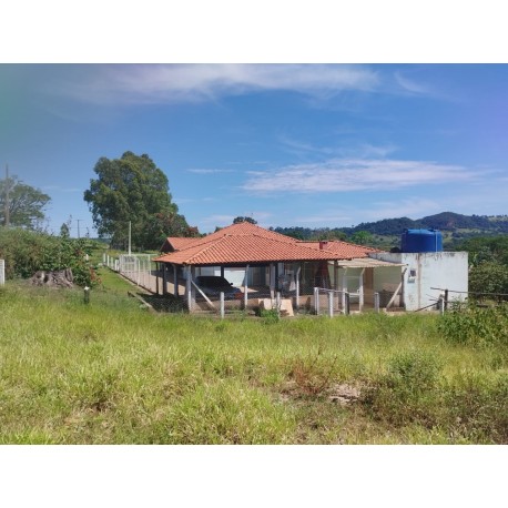 Sitio a venda sp Regiao Riberao Preto Cassia dos Coqueiros 10 ALQUEIRES