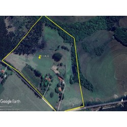 Sitio a venda sp Regiao Ribeirao Preto Cassia dos Coqueiros 5.1 ALQUEIRES