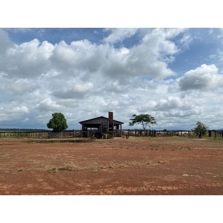 Fazenda a venda PA sul do Para lavoura pecuaria 7.082 ha
