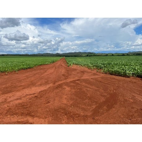 FAZENDA A VENDA MG TRIANGULO MINEIRO REGIAO SACRAMENTO 325ha