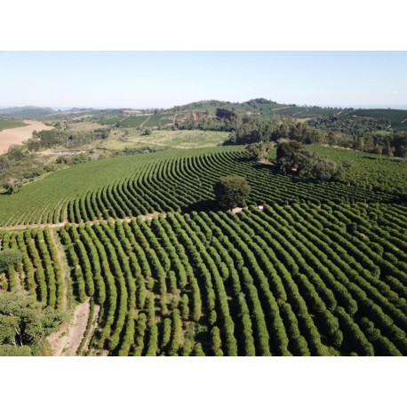 FAZENDA A VENDA SP CAFE REGIAO MOCOCA 168 ALQUEIRES