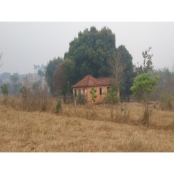 Sitio a venda sp Regiao Ribeirao Preto Cassia dos Coqueiros 5 alqueire