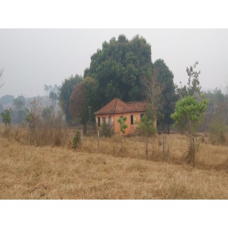 Sitio a venda sp Regiao Ribeirao Preto Cassia dos Coqueiros 5 alqueire