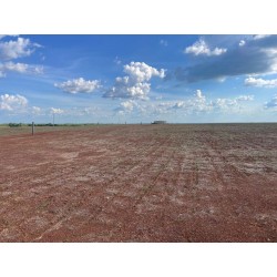 Fazenda a venda TO Paraiso do Tocantins pecuária 481 alqueires 2.328 há