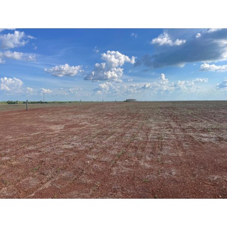 Fazenda a venda TO Paraiso do Tocantins pecuária 481 alqueires 2.328 há