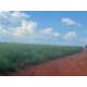 Fazenda a venda TO Paraiso do Tocantins pecuária 481 alqueires 2.328 há