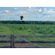 Fazenda a venda TO Paraiso do Tocantins pecuária 481 alqueires 2.328 há