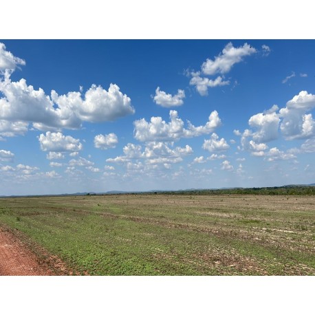 FAZENDA A VENDA COM DIVIDAS TO VALE DO ARAGUAIA LAVOURA PECUARIA 987 HÁ