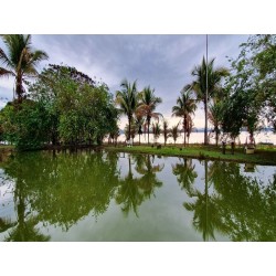 SITIO A VENDA SP BOTUCATU SÃO MANUEL EMPREENDIMENTO LAZER FRENTE REPRESA 20 HA