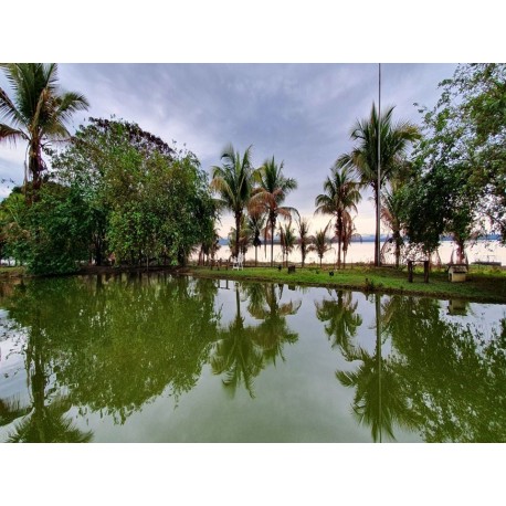 SITIO A VENDA SP BOTUCATU SÃO MANUEL EMPREENDIMENTO LAZER FRENTE REPRESA 20 HA