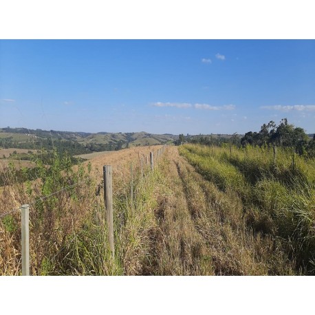 FAZENDA À VENDA SP PORTO FELIZ LAVOURA PECUARIA LAZER MONTADA ESTRUTURADA