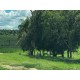 FAZENDA À VENDA SP PORTO FELIZ LAVOURA PECUARIA LAZER MONTADA ESTRUTURADA