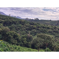 Area de mato para reserva ambiental florestal sul de minas Ibitiura de Minas 10 há