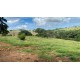 Sitio Regiao Ribeirao Preto arrendamento com casa