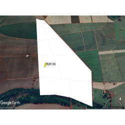 FAZENDA A VENDA SP CANA PITANGUEIRAS 76.31 HA