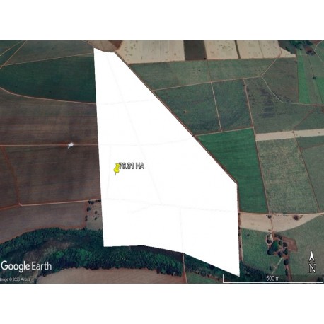 FAZENDA A VENDA SP CANA PITANGUEIRAS 76.31 HA