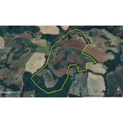 FAZENDA A VENDA SP CAFÉ REGIAO RIBEIRAO PRETO CAJURU CASSIA DOS COQUEIROS