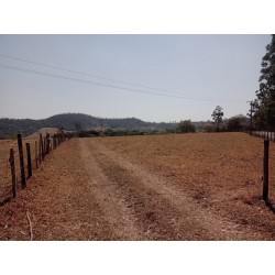 SITIO A VENDA SP REGIAO RIBEIRAO PRETO CAJURU 16 ALQUEIES CAFÉ