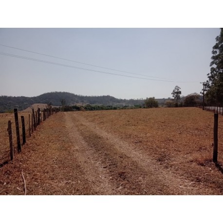 SITIO A VENDA SP REGIAO RIBEIRAO PRETO CAJURU 16 ALQUEIES CAFÉ