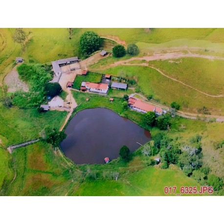 SITIO A VENDA MG SUL DE MINAS REGIAO SÃO LOURENÇO MONTADO PECUARIA 34 HÁ