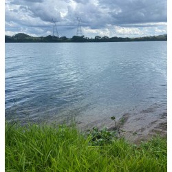 FAZENDA A VENDA MG TRIANGULO MINEIRO CONCEIÇÃO DAS ALAGOAS 1080 HÁ