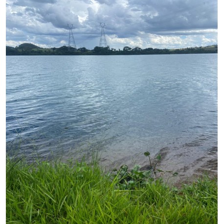 FAZENDA A VENDA MG TRIANGULO MINEIRO CONCEIÇÃO DAS ALAGOAS 1080 HÁ