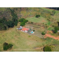 FAZENDA A VENDA SP BRAGANÇA PAULISTA PECUARIA EQUINOS EUCALIPTO 82 HA