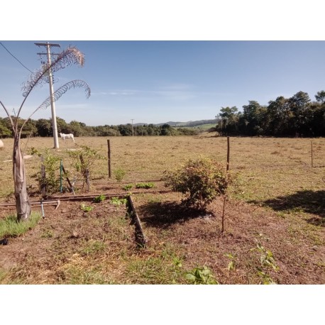 SITIO A VENDA SP REGIAO RIBEIRAO PRETO 7.68 HECTARES ACEITA TROCA