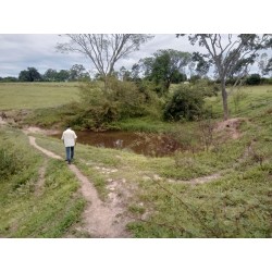 SITIO A VENDA REGIAO RIBEIRAO PRETO MOCOCA SOJA PECUARIA