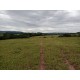 SITIO A VENDA REGIAO RIBEIRAO PRETO MOCOCA SOJA PECUARIA