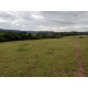 SITIO A VENDA REGIAO RIBEIRAO PRETO MOCOCA SOJA PECUARIA