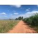 SITIO A VENDA SP REGIAO CAMPINAS MOCOCA 14 ALQUEIRES