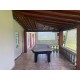SITIO A VENDA SP REGIAO CAMPINAS MOCOCA 14 ALQUEIRES