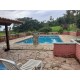 SITIO A VENDA SP REGIAO RIBEIRAO PRETO SANTA ROSA VITERBO 12 ALQUEIRES