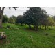 SITIO A VENDA SP REGIAO RIBEIRAO PRETO SANTA ROSA VITERBO 12 ALQUEIRES