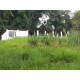 SITIO A VENDA SP REGIAO RIBEIRAO PRETO SANTA ROSA VITERBO 12 ALQUEIRES