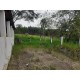 SITIO A VENDA SP REGIAO RIBEIRAO PRETO SANTA ROSA VITERBO 12 ALQUEIRES