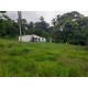 SITIO A VENDA SP REGIAO RIBEIRAO PRETO SANTA ROSA VITERBO 12 ALQUEIRES