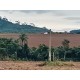 SITIO A VENDA SP REGIAO CAMPINAS CASA BRANCA 11.8 ALQUEIRES