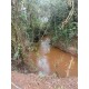 SITIO A VENDA SP REGIAO CAMPINAS CASA BRANCA 11.8 ALQUEIRES