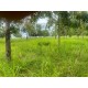 Sitio a venda sp Regiao Ribeirao Preto Cassia dos Coqueiros 3 alqueires