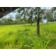 Sitio a venda sp Regiao Ribeirao Preto Cassia dos Coqueiros 3 alqueires