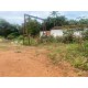Sitio a venda sp Regiao Ribeirao Preto Cassia dos Coqueiros 3 alqueires