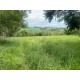 Sitio a venda sp Regiao Ribeirao Preto Cassia dos Coqueiros 3 alqueires