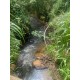 Sitio a venda sp Regiao Ribeirao Preto Cassia dos Coqueiros 3 alqueires
